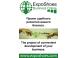 Проект ExpoShoes Online